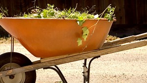 This year's green waste pickup schedule in Utica