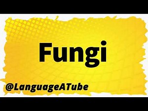 Fungi Pronunciation ⚡️ How To Pronounce Fungi!