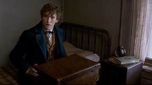 The Announcement Trailer for #FantasticBeasts is here. | Fantastic Beasts