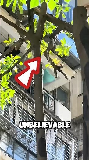 How does this Tree keeps Peeing? 😨