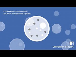Microbubbles Animation