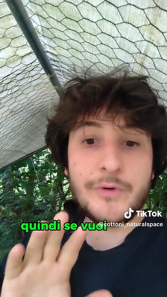 Come allevare pulcini in modo naturale e tenero