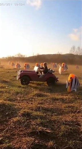 People Are Freaking Out Over This Video of A Baby Monkey