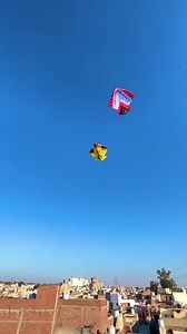 8.4K views · 251 reactions | Kite lover ❤️❤️‍❤️❤️‍❤️ #AKFC# . . . .amritsarkiteflying #Patangbaaz #Patangbaji #kite #patang #kiteflyingfestival #kiteflying #patangbazi | Amritsar Kite Flying Club | Facebook