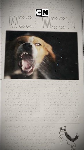 Geruchssinn, Agilität, Koordination🐶💪Jeder Hund kann zum Helden werden! Superman ‪@cartoonnetworkDE‬