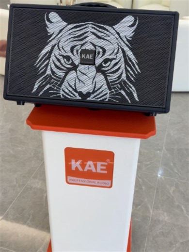 Take a guess at how this speaker sounds. Leave a message if you want to hear the results. #KAE#Loudspeak #speaker #Hi-Fi