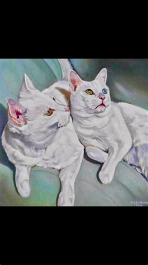 Suzanne Leonard Art on Reels