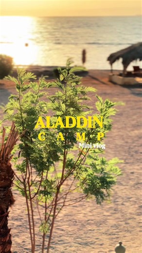 Aladdin highlights ~ every second hits different 🫶 #trending #travel #fyp #sinai #nuweiba