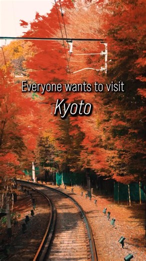 Shohei Sakae on Instagram: "Everyone talks about Kyoto, but… You are missing out on the real rural Japan if you skip Gifu Prefecture ⛰️♨️🏘️ 京都ももちろん素敵だけど、岐阜のこの「日本の原風景」を見逃すのはもったいないよ。 This prefecture is packed with history and atmosphere. This reel shows the historic post town of Magome-juku, the relaxing vibes of Gero Onsen, the fairytale village of Shirakawa-go, and the peaceful streets of Hida Furukawa. ここには全てがあるよ。歴史ある馬籠宿、癒しの下呂温泉、有名な白川郷、そして静かな飛騨古川の町並み。人混みを避けて、昔ながらの日本を感じるならここが一番！ Which of these 