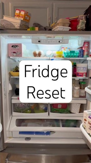 Fridge Clean Out: Organizing It Is Easy. Keeping It That Way Is Not.