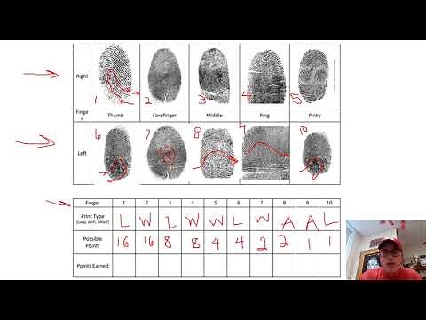 Henry Classification Tutorial