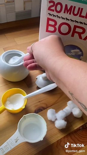 DIY Homemade Ant Trap for Effective Pest Control