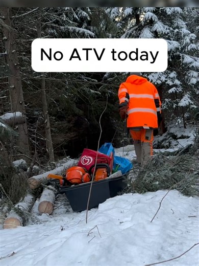 Winter Logging in Finland: Sled and Chainsaw in Extreme Cold