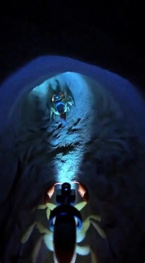 Scorpion POV: Tiny Camera on Its Back Reveals Massive Underground Colony! 🦂