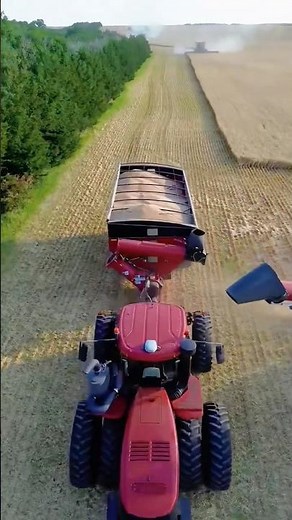 Aerial Combine Harvesting | Massive Wheat Field Harvest | Modern Farming Technology
