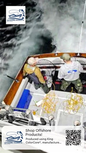 Lobster Hoop Netting LIVE 🦞 | SoCal Lobster Fishing - November 8th, 2025 📲 Get the Latest SoCal Fish Reports & Game Plans Join 4,000 members using the Your Saltwater Guide App: → ⁠⁠⁠⁠⁠⁠⁠⁠⁠⁠Download on iOS⁠⁠⁠⁠⁠⁠⁠⁠⁠⁠ → ⁠⁠⁠⁠⁠⁠⁠⁠⁠⁠Download on Android⁠⁠⁠⁠⁠⁠⁠⁠⁠⁠ 🧢 Shop Official Merch: ⁠⁠⁠⁠⁠⁠⁠⁠⁠⁠store.yoursaltwaterguide.com⁠⁠⁠⁠⁠⁠⁠⁠⁠⁠ 🎥 400 How-To Videos: ⁠⁠⁠⁠⁠⁠⁠⁠⁠⁠yoursaltwaterguide.com⁠⁠⁠⁠⁠⁠⁠⁠⁠⁠ 🎣 Sponsored By: – Promar & Ahi USA: Save 10% with code YSWG22 → ⁠⁠⁠⁠⁠⁠⁠⁠⁠⁠promarahi.com⁠⁠⁠⁠⁠⁠⁠⁠⁠⁠ – Ok