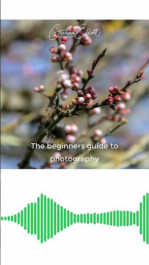 Beginners guide to photography - soundbite #learnphotography #photography #beginners #podcast