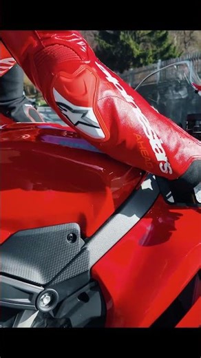 Ducati Panigale V4 S vs V4 R: Spot the Difference! 👀