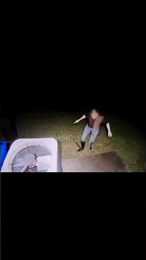 Nature’s Punishment: The Tree vs. The Girl