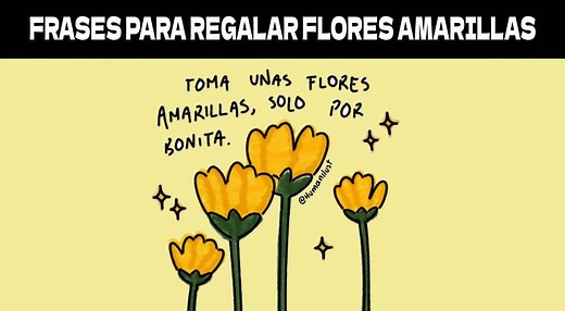 Mejores frases para regalar Flores Amarillas: Mensajes lindos e imágenes para este día