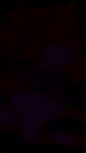 Top Speed Songs for Creative Music Edits