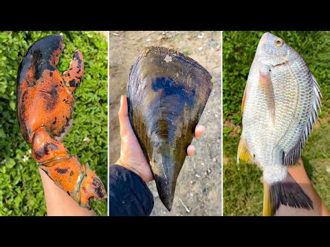 1 Đồng Mua Được Gì? P5 | Tik Tok Ẩm Thực Trung Quốc | MOO TIK TOK