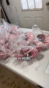One of the most important steps after processing meat rabbits is letting the meat rest for at least 24 hours before packaging. This resting time allows the post-harvest muscle stiffness to relax, which helps the meat stay tender instead of tough. Right now, we’re packaging our rabbit meat in large plastic bags, but as we continue refining our system, we’d like to move toward a better long-term packaging option. Small steps and good technique make a big difference in meat quality #MeatRabbits #Fr
