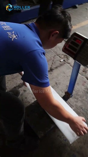 Koller direct cooling ice block machine testing at factory