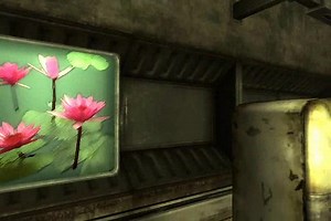 Springvale Sewer Home Demonstration video