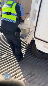 Karratha Police have released an unexpected prisoner... a turtle! ​ Police found the turtle at a Millars Well home on Sunday afternoon, where the captured turtle had been abandoned. Police released the turtle back into the wild at Back Beach in Karratha, where it swam away injury free 🐢 No charges have been laid. | ABC Pilbara