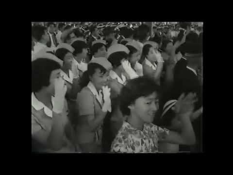 ブルートレインのすべて 20系 14系さくら