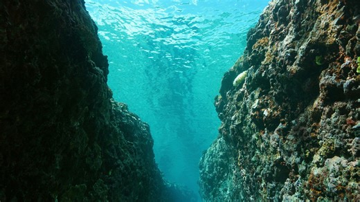 What makes these underwater trenches among the most extreme places on Earth