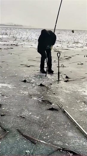 Pro Ice Fisherman in Action: Watch How This Veteran Nets a Big Catch Effortlessly