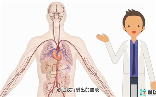 主动脉内球囊反搏术