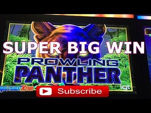 *Super Big Win* **PROWLING PANTHER** BONUS!! 142X
