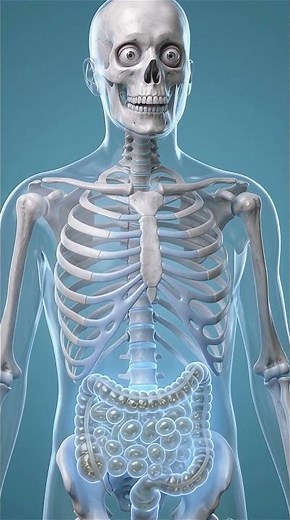 I Ate Beans Every Day for 30 Days… The Results Shocked Me #medicalscience #humanbody #healthtips