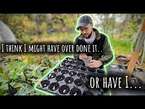 How to plant garlic/ getting my broad beans in ready for next year/ Allotment gardening uk
