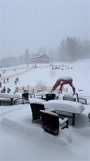 Snow Falling: A Winter Wonderland Experience