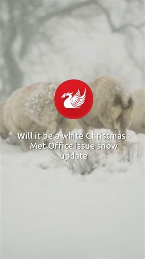 The Met Office has provided an update on update on what the weather could be like over the Christmas period 🌨️ | Liverpool Echo News