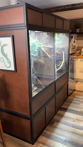 173K views · 37K reactions | Today is another Mouse Day ! As you can...