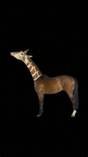 tangkap gambar kuda di video #music #fypシ #cover