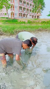 মাছ ধরে ফেলেছে 🥱🤔😲 | Mohammed Hanif F
