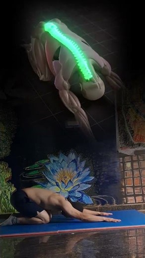 The 60-Second "Nervous System Reset" (Child's Pose)