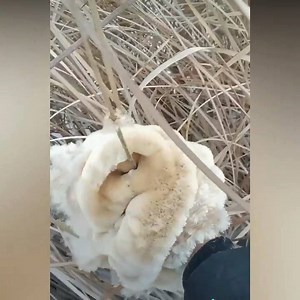 605K views | WOW! | Easy Crafts | Facebook