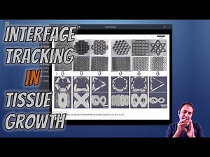 [ParaView Postprocessing 8] Introducing interface tracking of tissue growth models