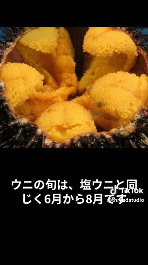宮古市の塩ウニ料理の魅力