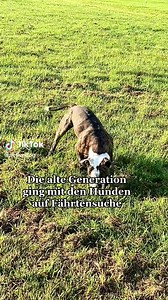 Evolution of Dog Ownership: Old vs New Generation