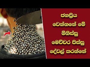 2022 වසරේ Mr.පුදුමයාගේ හොඳම ටික EP:01