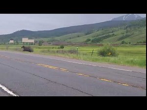 Moose flies after hit by car