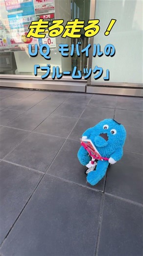 UQブルームック #uqモバイル #ムック #モバイル #福岡市中央区 #福岡天神 #福岡県